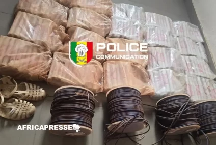 Sénégal : 660 bâtons d’explosifs saisis à la frontière malienne