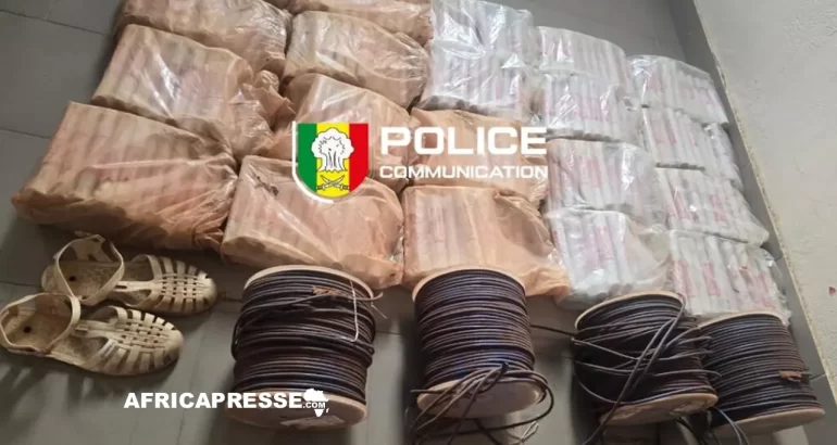 Sénégal : 660 bâtons d’explosifs saisis à la frontière malienne