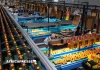Fin de règne pour l’Espagne : l’Afrique du Sud prend la tête du marché mondial des agrumes