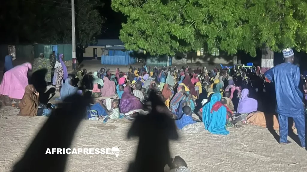 360 otages libérés à Borno au Nigeria