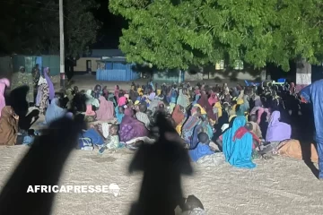 Nigéria : 360 otages libérés dans les monts Mandara, l’armée revendique un coup de filet stratégique