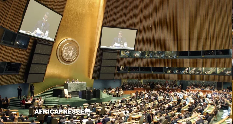 L'Assemblée générale des Nations unies - ONU