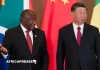 Afrique du Sud : le duty free vers la Chine, une aubaine sous condition pour les exportateurs