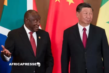 Afrique du Sud : le duty free vers la Chine, une aubaine sous condition pour les exportateurs