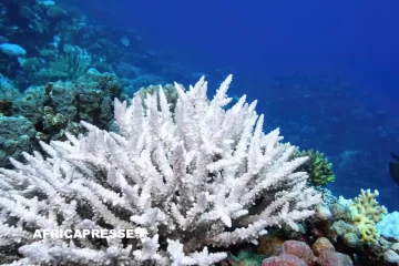 Journée de l’environnement 2026 : l’UNESCO tire la sonnette d’alarme sur un basculement climatique irréversible d’ici 2050