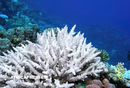 Journée de l’environnement 2026 : l’UNESCO tire la sonnette d’alarme sur un basculement climatique irréversible d’ici 2050