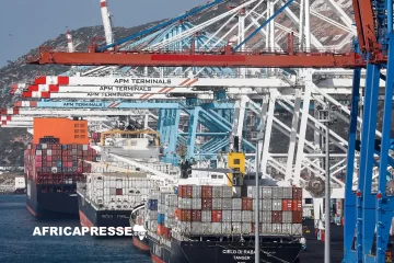 Commerce maritime : le classement 2025 des ports à conteneurs les plus performants du continent