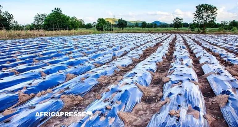 Afrique : la FAO appelle à réduire la pollution plastique dans le secteur agricole