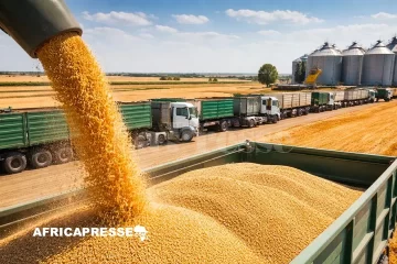 Blé : la Russie rétablit sa taxe à l’exportation, l’Afrique en première ligne