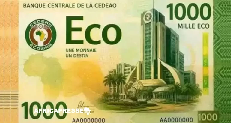 ECO : pourquoi la mise en œuvre de la monnaie unique reste un défi pour la CEDEAO