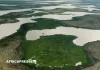 Afrique : la disparition du lac Tchad relance un ambitieux projet de transfert d’eau depuis le bassin du Congo