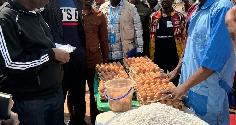 Coopération: Le modèle camerounais d’intégration des réfugiés inspire le Burundi
