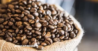L’Éthiopie franchit le cap des 3 milliards de dollars d’exportations de café