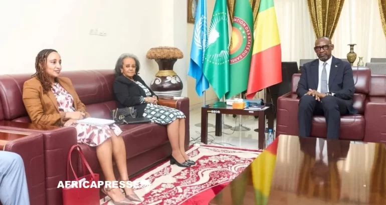 Bamako veut intégrer l’AES dans la revue stratégique de l’ONU pour le Sahel