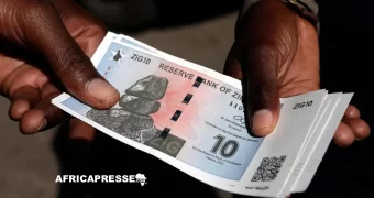 ZiG ou dollar : la Banque mondiale met en garde le Zimbabwe contre une dédollarisation précipitée