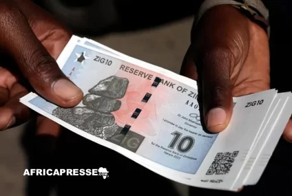 ZiG ou dollar : la Banque mondiale met en garde le Zimbabwe contre une dédollarisation précipitée